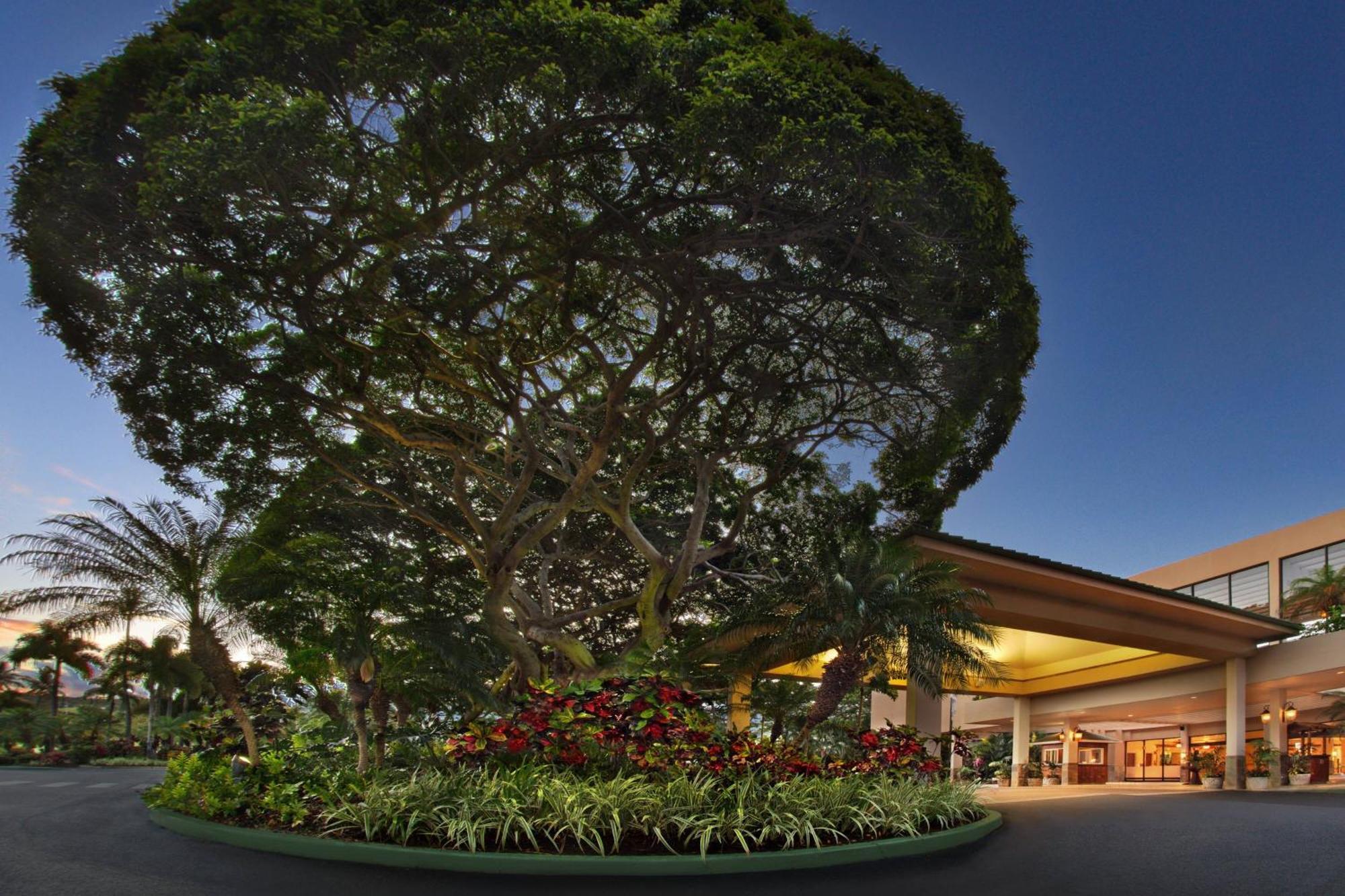 Marriott'S Maui Ocean Club - Molokai, Maui & Lanai Towers Hotel Lahaina Kültér fotó
